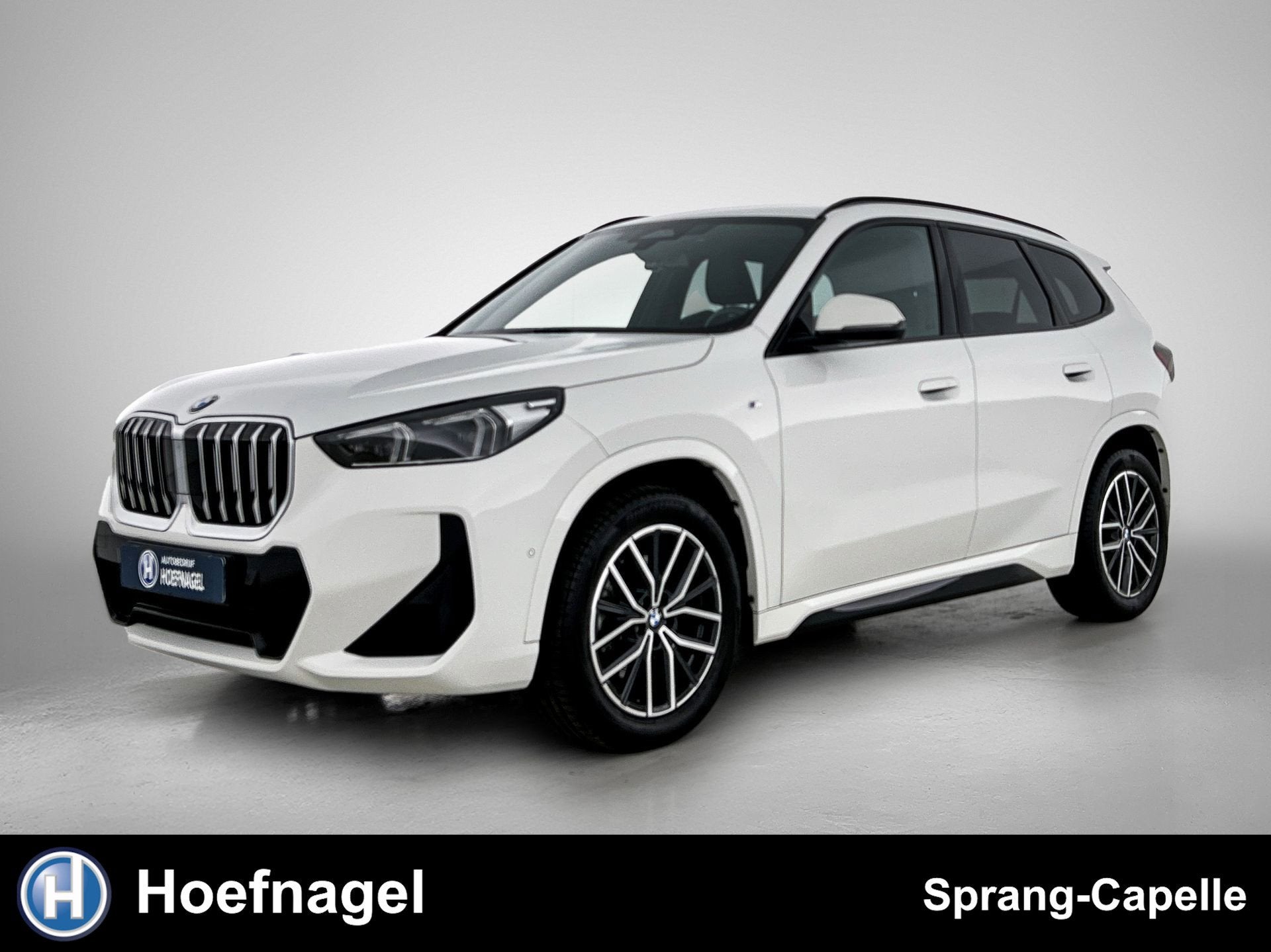 BMW X1 SDrive20i M Sport | Trekhaak | Camera | Harman/Kardon, Auto's, 1525 kg, 156 pk, Alcantara, Wit