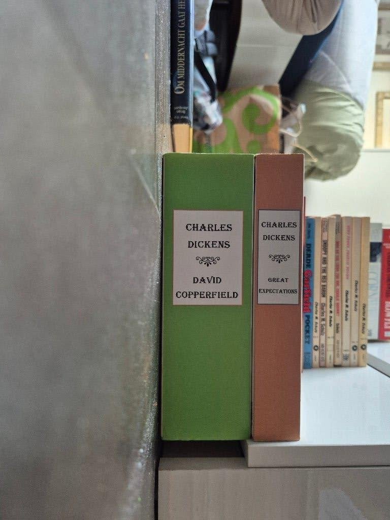 Charles Dickens — David Copperfield & Great Expectations, Boeken, Ophalen of Verzenden, Gelezen, Charles Dickens, Wereld overig