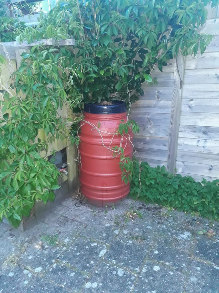 180 liter Bokashi-sap in ton - Voeding voor planten, Ophalen