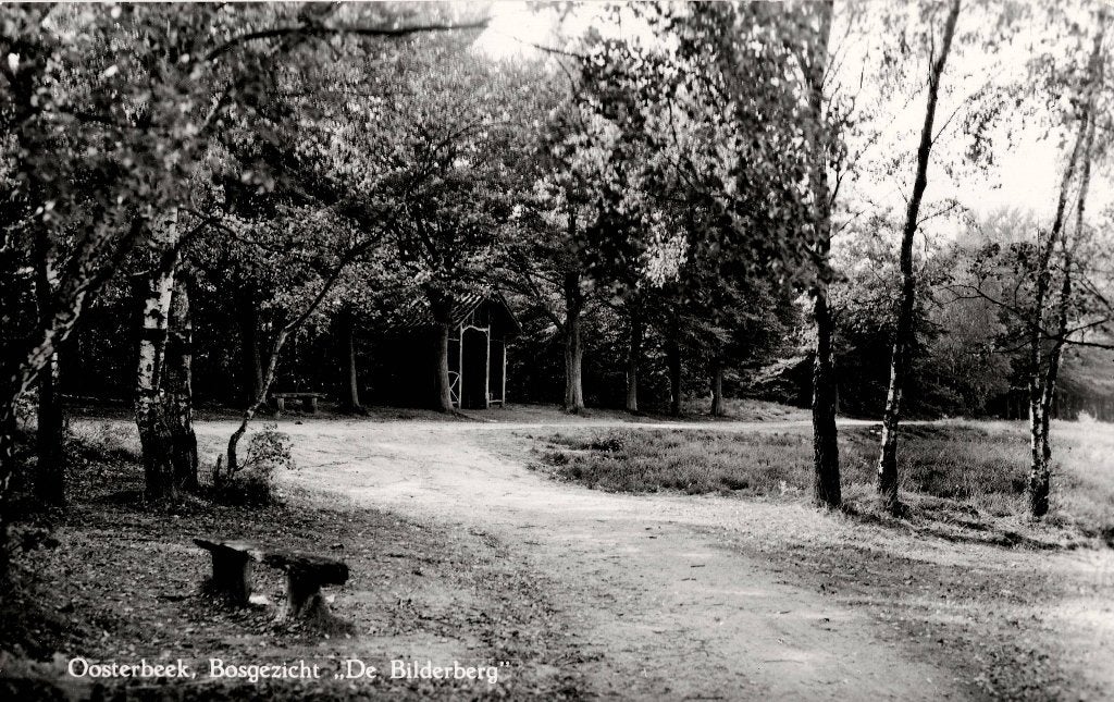 Oosterbeek – Bosgezicht “De Bilderberg”.