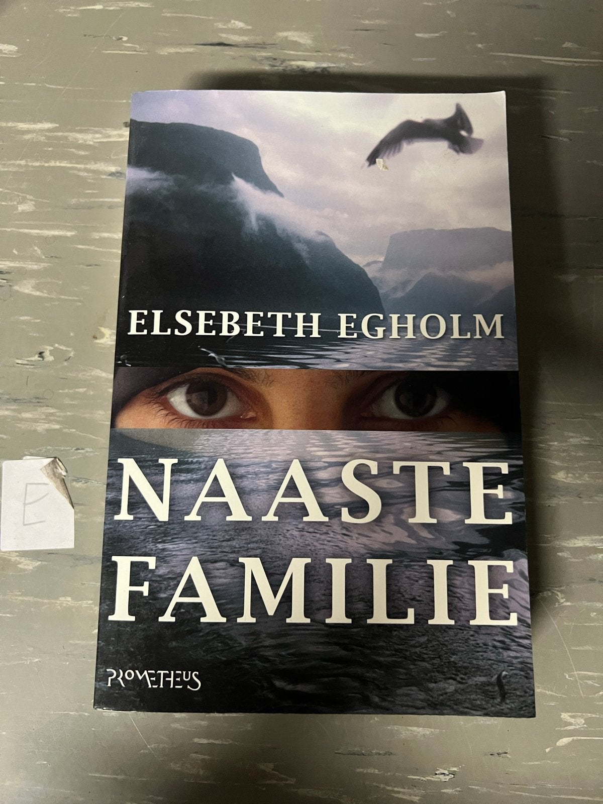 Naaste Familie - Elsebeth Egholm (Thriller), Ophalen of Verzenden, Gelezen