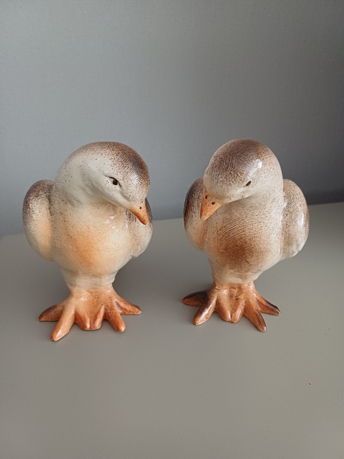 Duiven, Ophalen of Verzenden, Zo goed als nieuw, Dier
