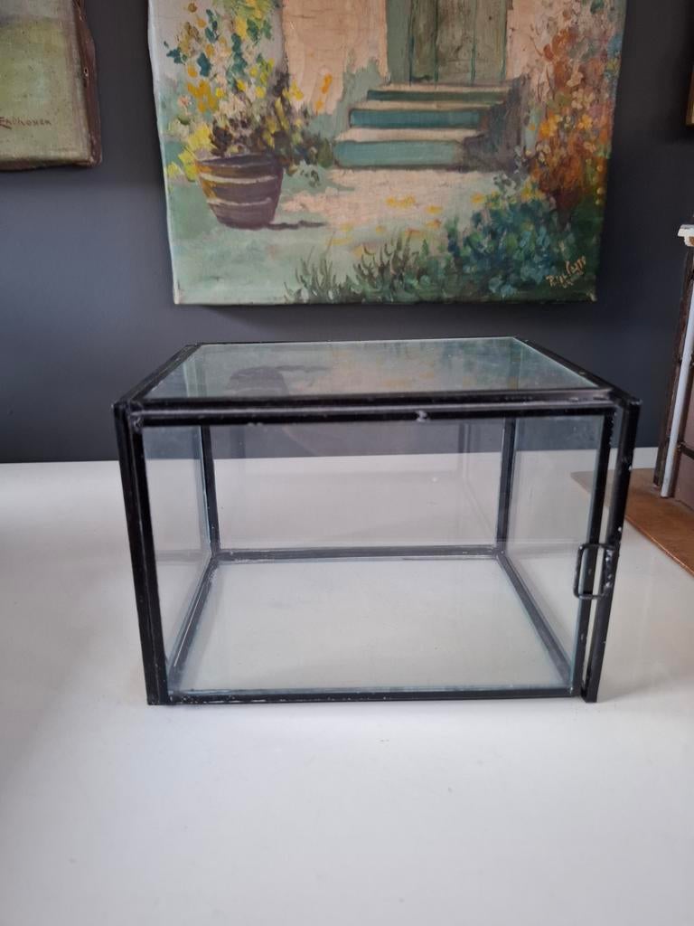 Klein glazen vitrinekastje, Ophalen, Zo goed als nieuw, Leeg aquarium