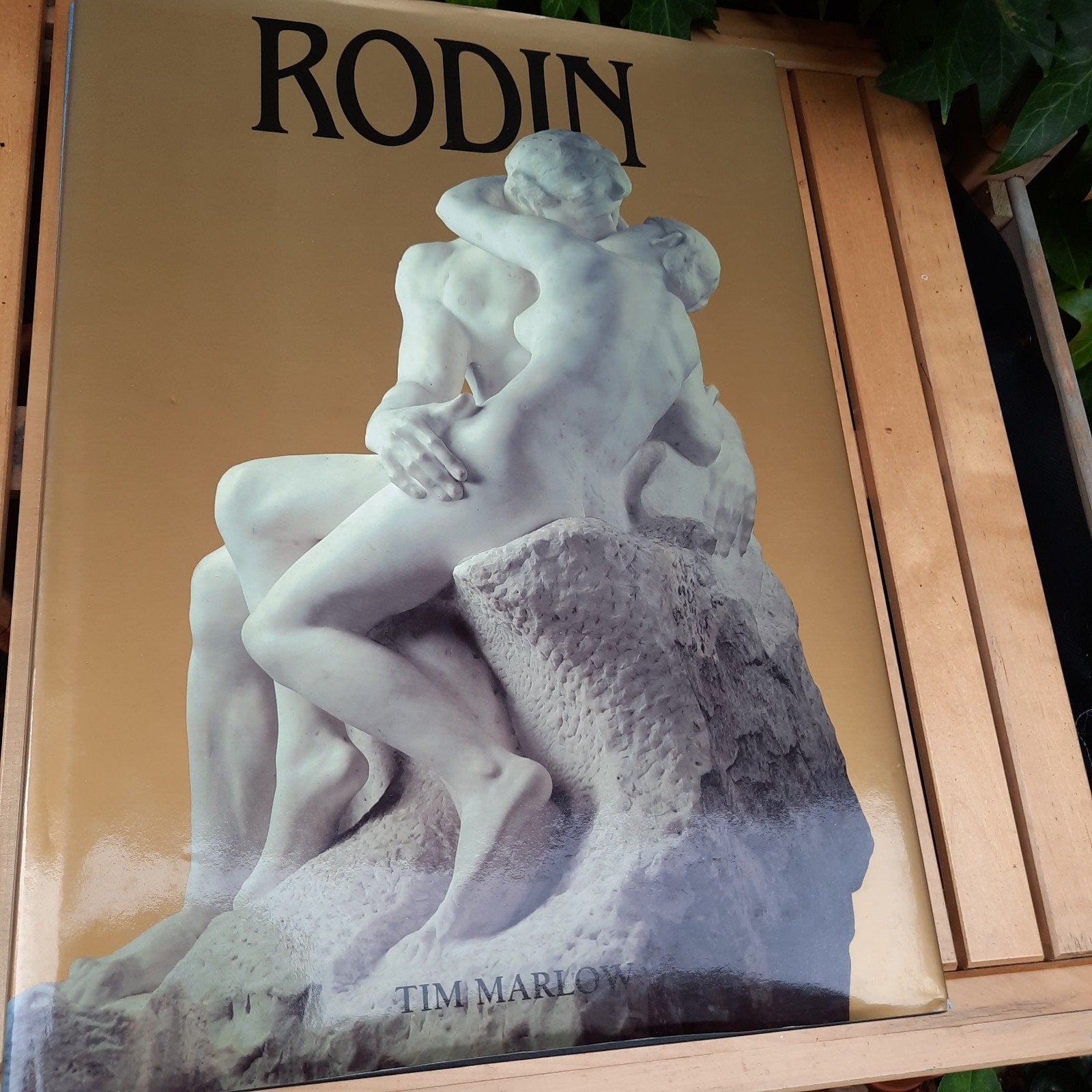 Rodin, Tim Marlow, Ophalen of Verzenden