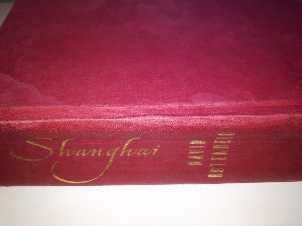 Shanghai - David Rotenberg (Hardcover), Boeken, Romans, Gelezen, Ophalen of Verzenden