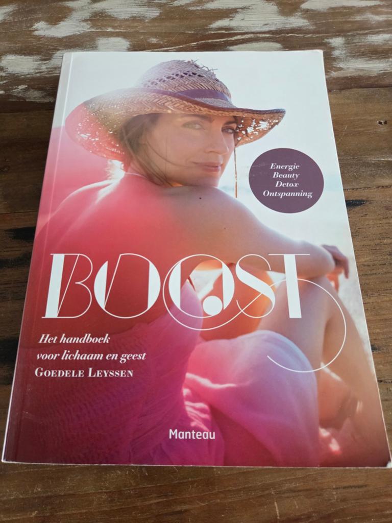 Goedele Leyssen - Boost, Ophalen of Verzenden, Zo goed als nieuw, Goedele Leyssen