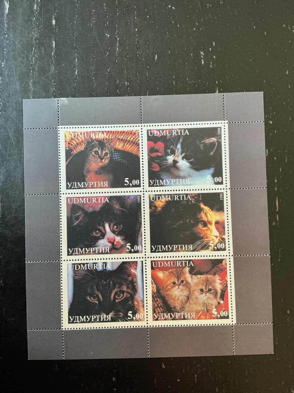 Udmurtia Katten Postzegelvel - 6 Postfrisse Zegels, Ophalen of Verzenden, Postfris