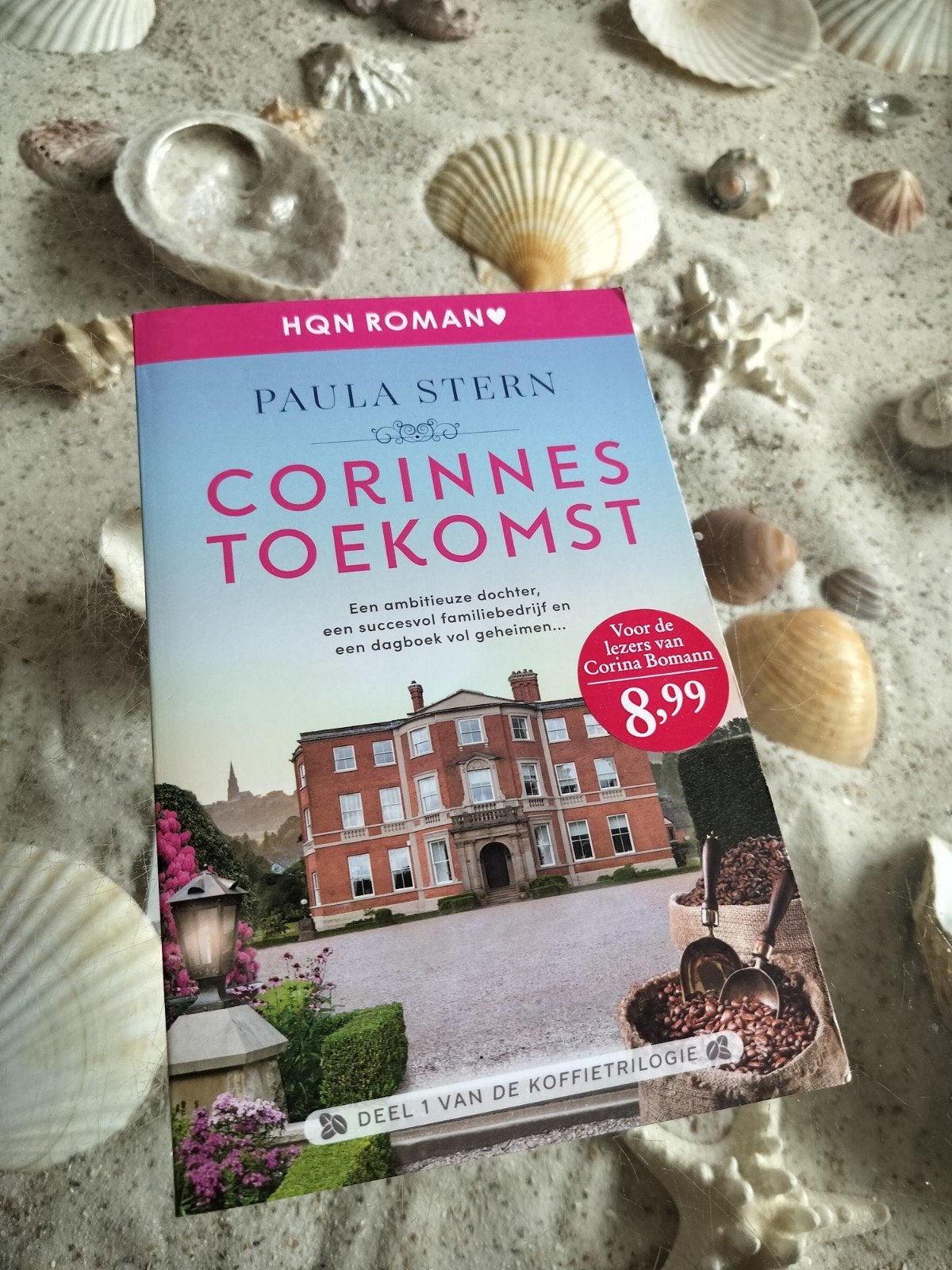 Paula Stern - Corinnes Toekomst, Boeken, Ophalen of Verzenden, Gelezen