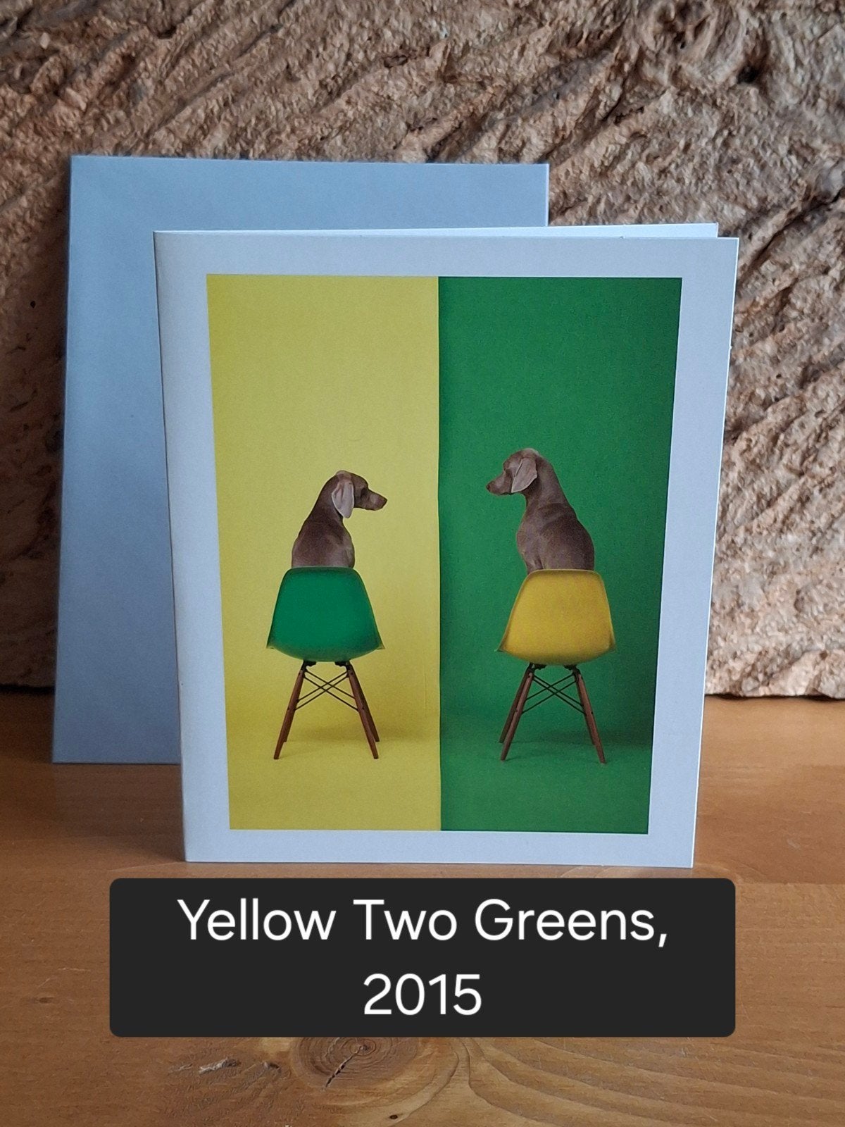 kunstkaarten William Wegman (A), Verzenden, 1980 tot heden, Ongelopen, Overige thema's