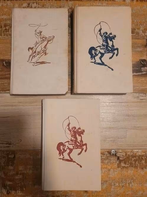Arendsoog boeken, Ophalen of Verzenden, Gelezen, J. Nowee