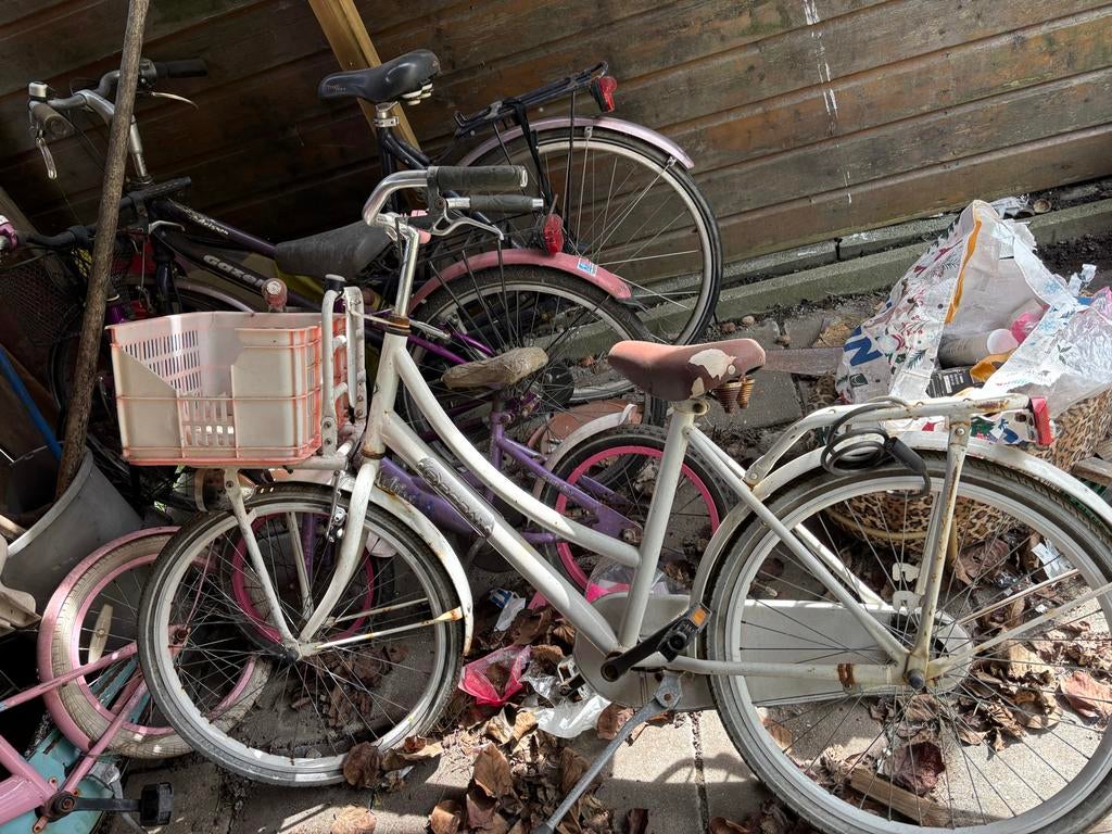 Dames- en meisjesfietsen - Diverse merken en maten, Fietsen en Brommers, Fietsen | Dames | Damesfietsen, Minder dan 47 cm, Ophalen
