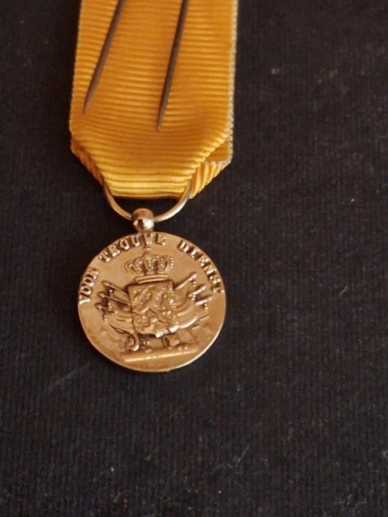 Miniatuur medaille trouwe dienst, Verzenden, Landmacht, Nederland, Lintje, Medaille of Wings