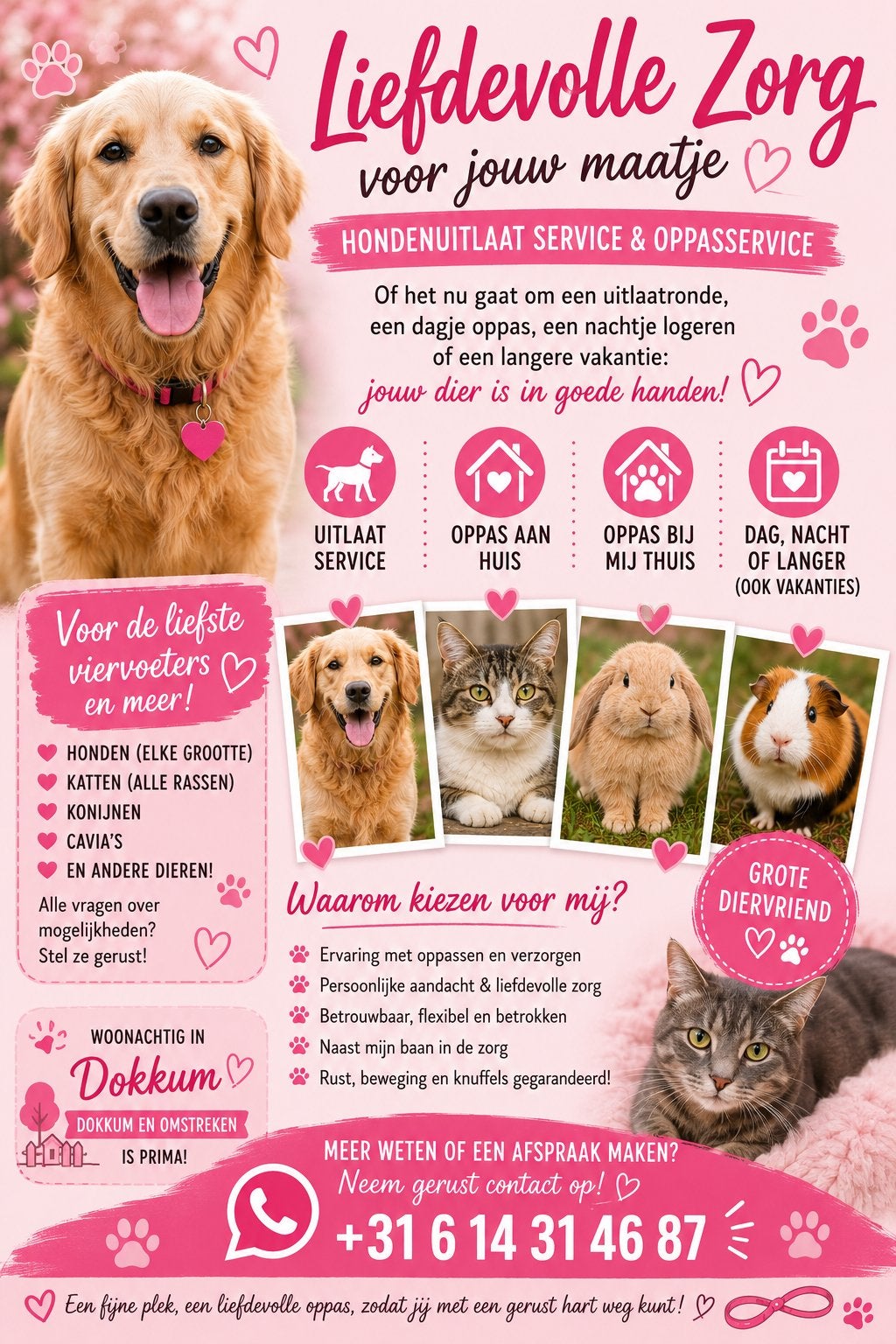 Hondenuitlaat service & oppasservice, Ophalen, Nieuw