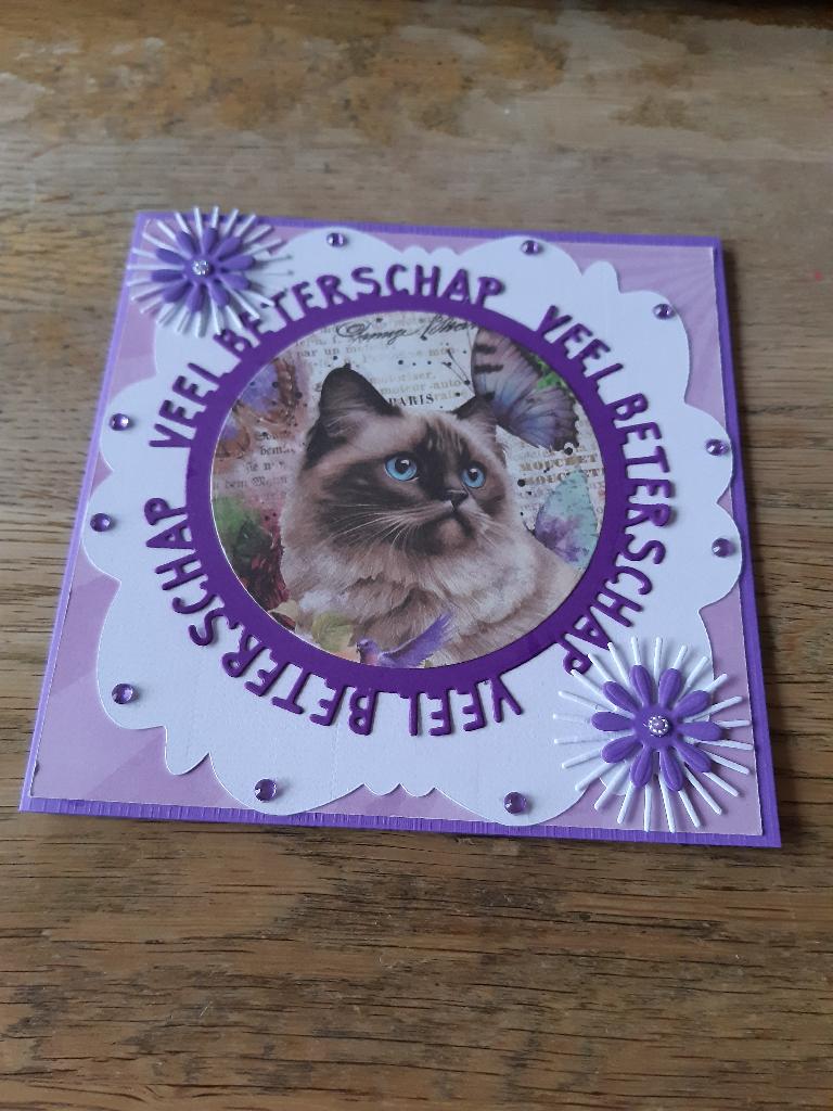 Scrap-Veel beterschap(395), Ophalen of Verzenden, Nieuw, Overige thema's
