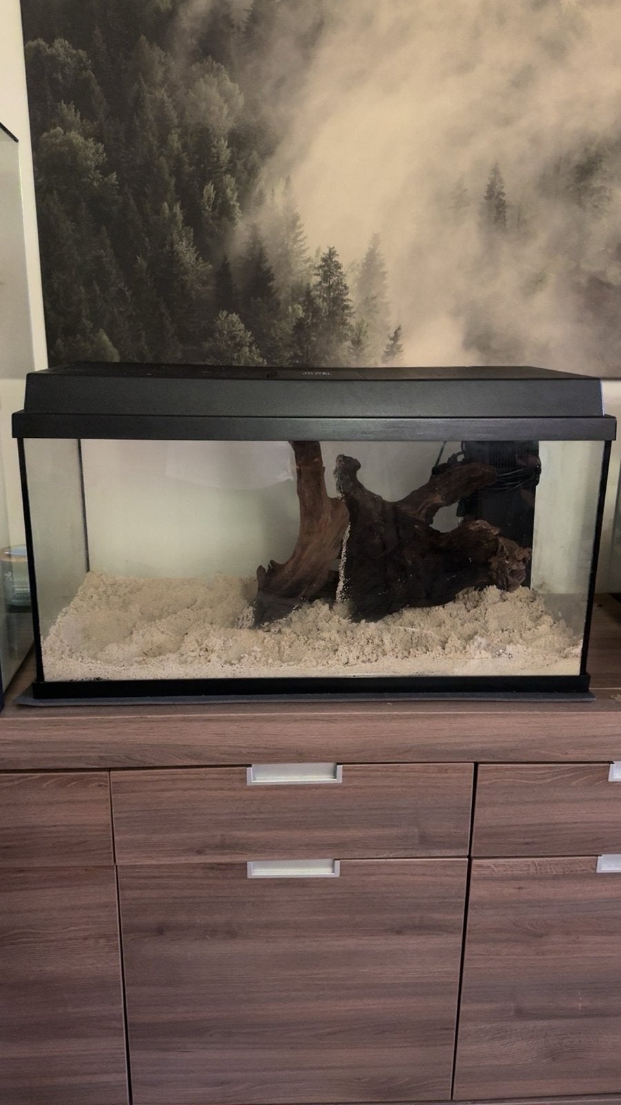 2x Zwarte Juwel primo 110 aquarium 80 cm, voor 90 en 15 euro, Dieren en Toebehoren, Ophalen, Verwarming, Leeg aquarium, Juwel