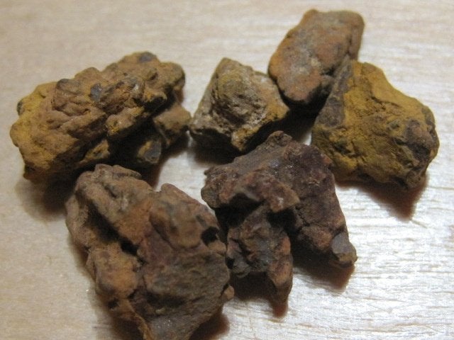 m. laatste ruwe edelstenen COPROLIET (4)  (versteende uitwer, Verzenden, Mineraal
