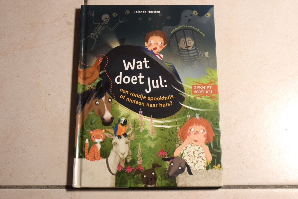 Wat doet Jul: een rondje spookhuis of meteen naar huis?, Ophalen of Verzenden, Zo goed als nieuw, Fictie algemeen