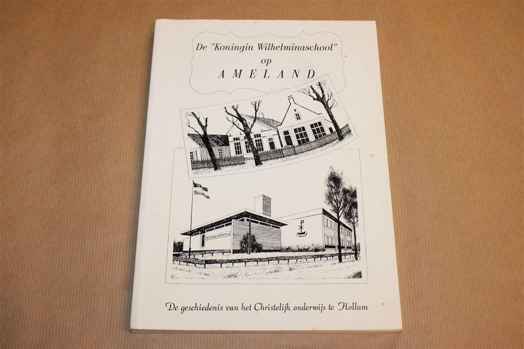 Koningin Wilhelminaschool Hollum Ameland — Onderwijs, Boeken, Geschiedenis | Stad en Regio, Ophalen of Verzenden, Gelezen