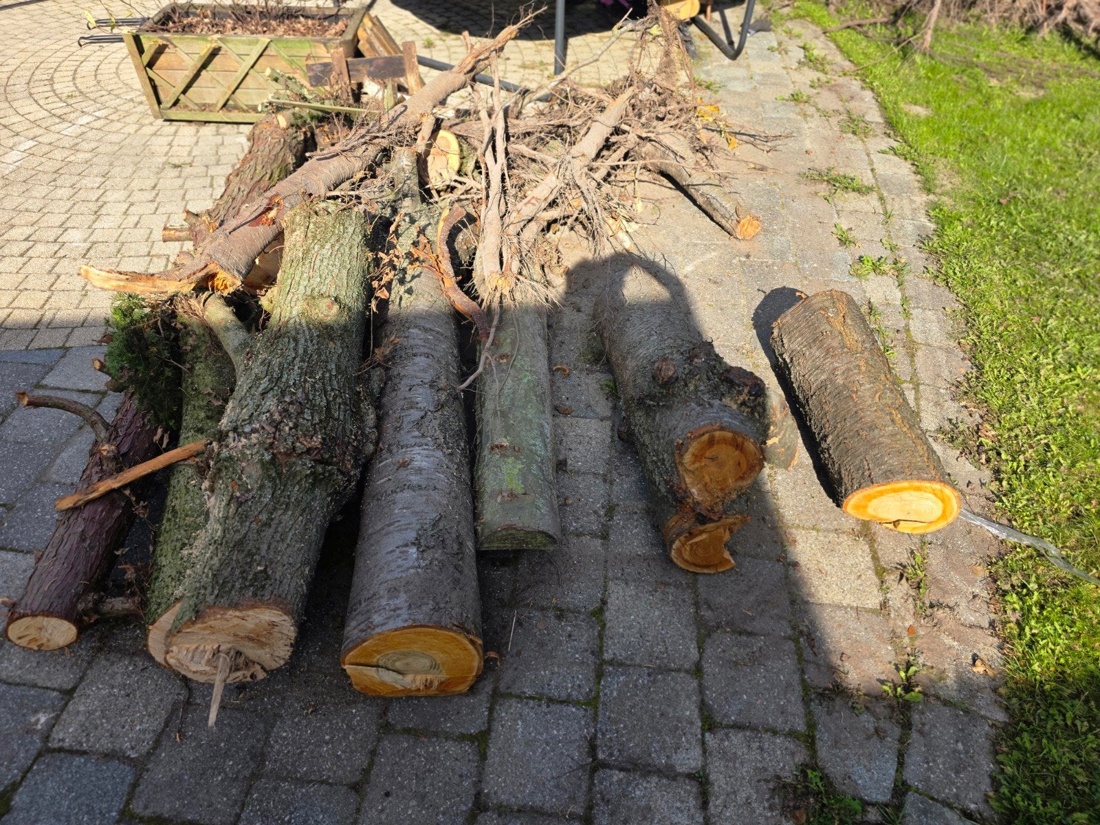 Gratis brandhout: diverse stammen en takken, 3 tot 6 m³, Ophalen, Overige houtsoorten, Blokken