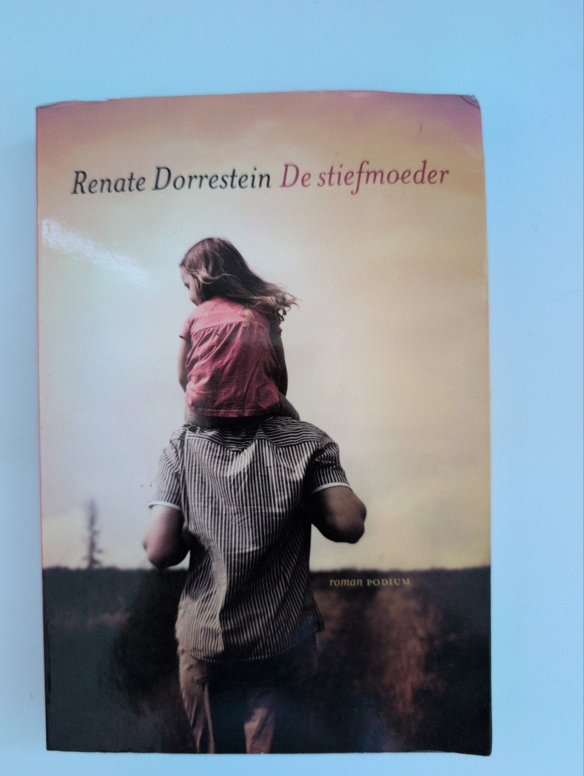 De stiefmoeder - Renate Dorrestein (roman), Ophalen of Verzenden, Gelezen, Renate Dorrestein, Nederland