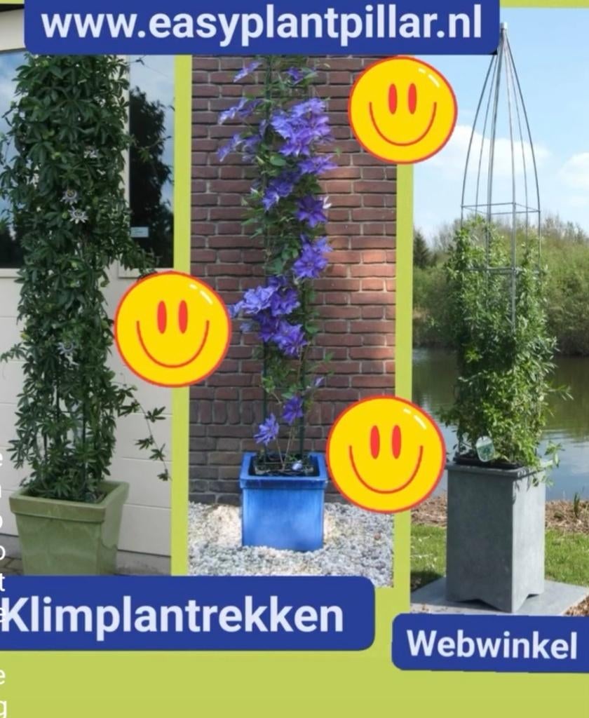 Draadzuilen draadrekken klimplantrekken plantenrek, Ophalen of Verzenden, Nieuw