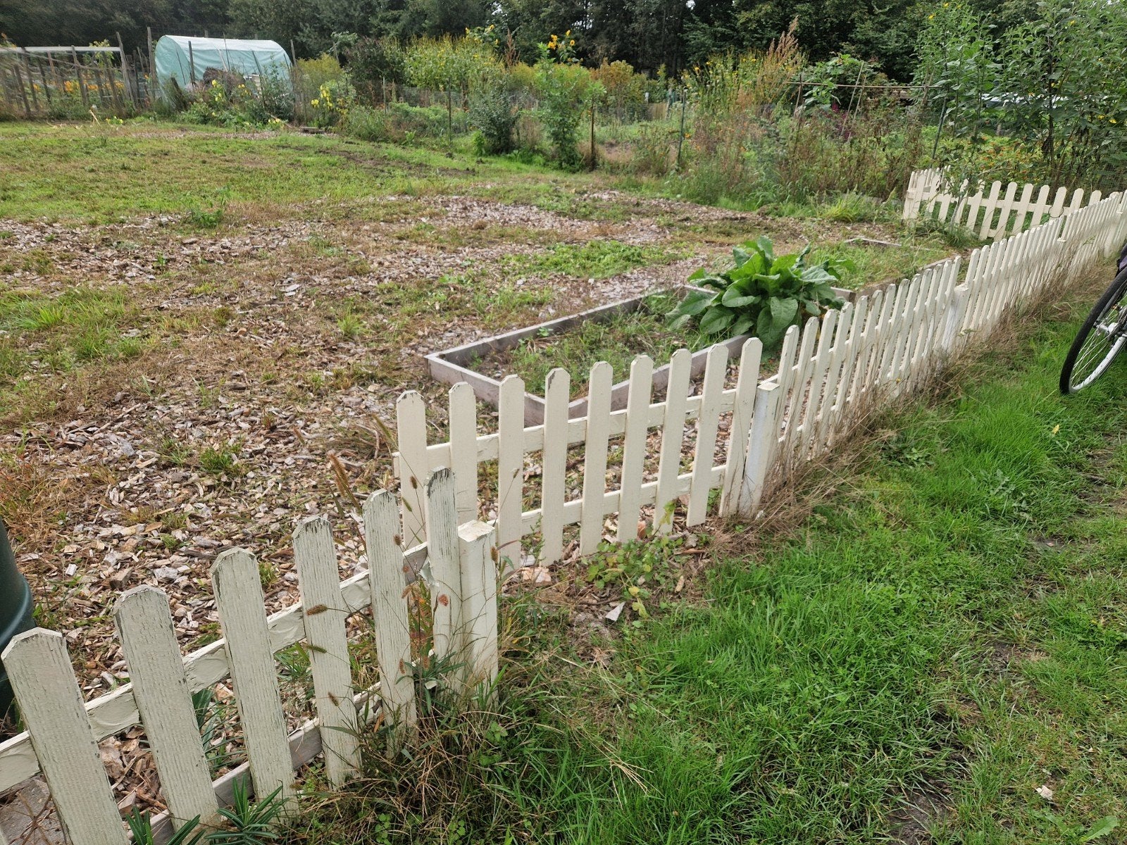 Wit hardhouten hekwerk -gratis af te halen (zelf demonteren), Ophalen of Verzenden, Gebruikt, Hout, Minder dan 100 cm