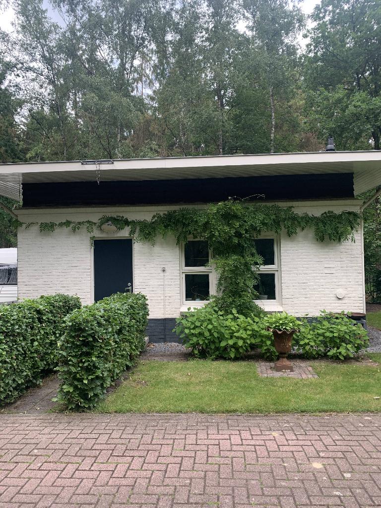 vakantiehuis te huur, Vakantie, Internet, Overige typen, In bos, Landelijk