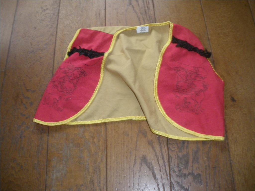 verkleedkleren, Kinderen en Baby's, Carnavalskleding en Verkleedspullen, Ophalen of Verzenden, Gebruikt, 104 of kleiner, Jongen