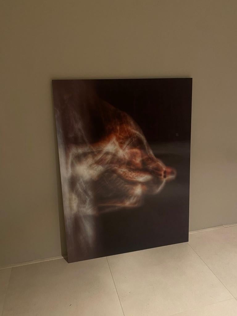 Glossy schilderij, Ophalen