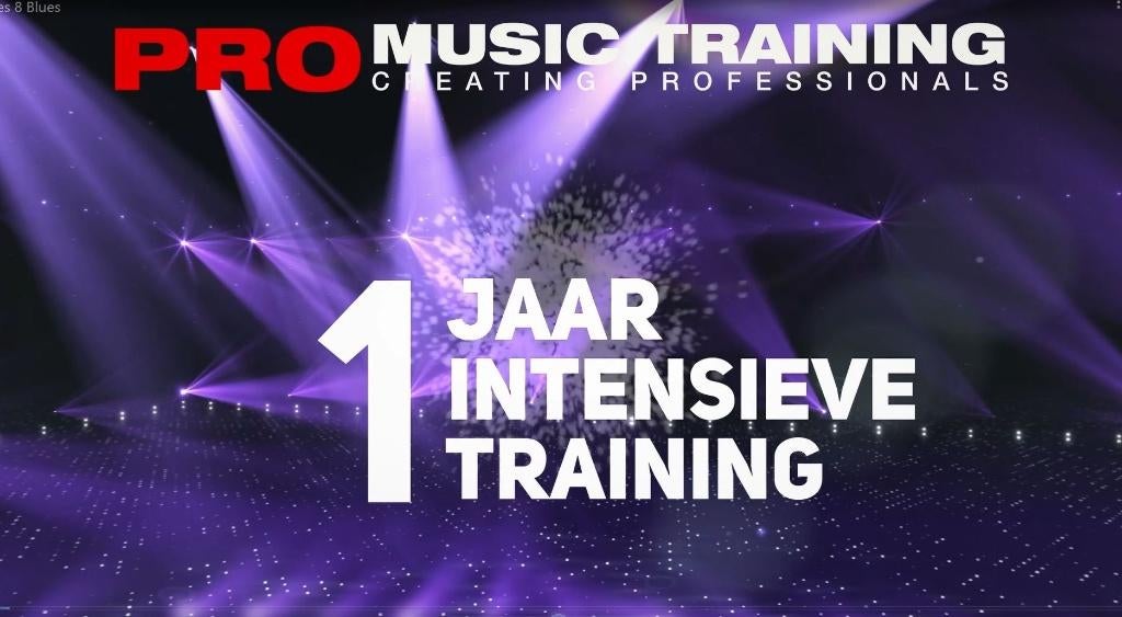 Professioneel musicus in één jaar!, Diensten en Vakmensen, Blaasinstrumenten