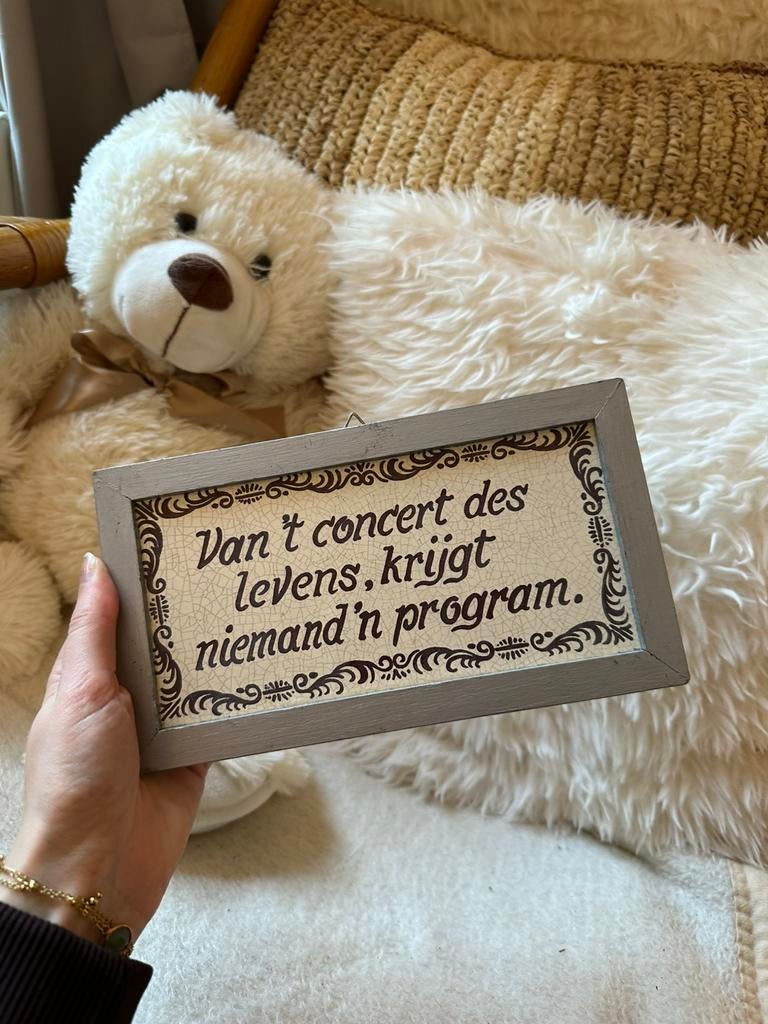 Van ’t concert des levens, krijgt niemand ’n program, Ophalen of Verzenden, Gebruikt