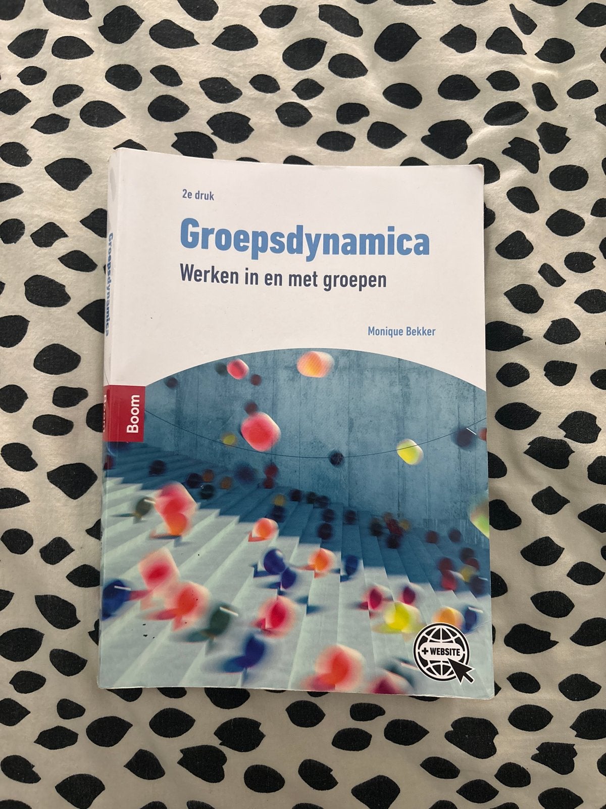 Groepsdynamica: Werken in en met groepen (2e druk), Boeken, Ophalen of Verzenden, Gamma, Zo goed als nieuw, HBO