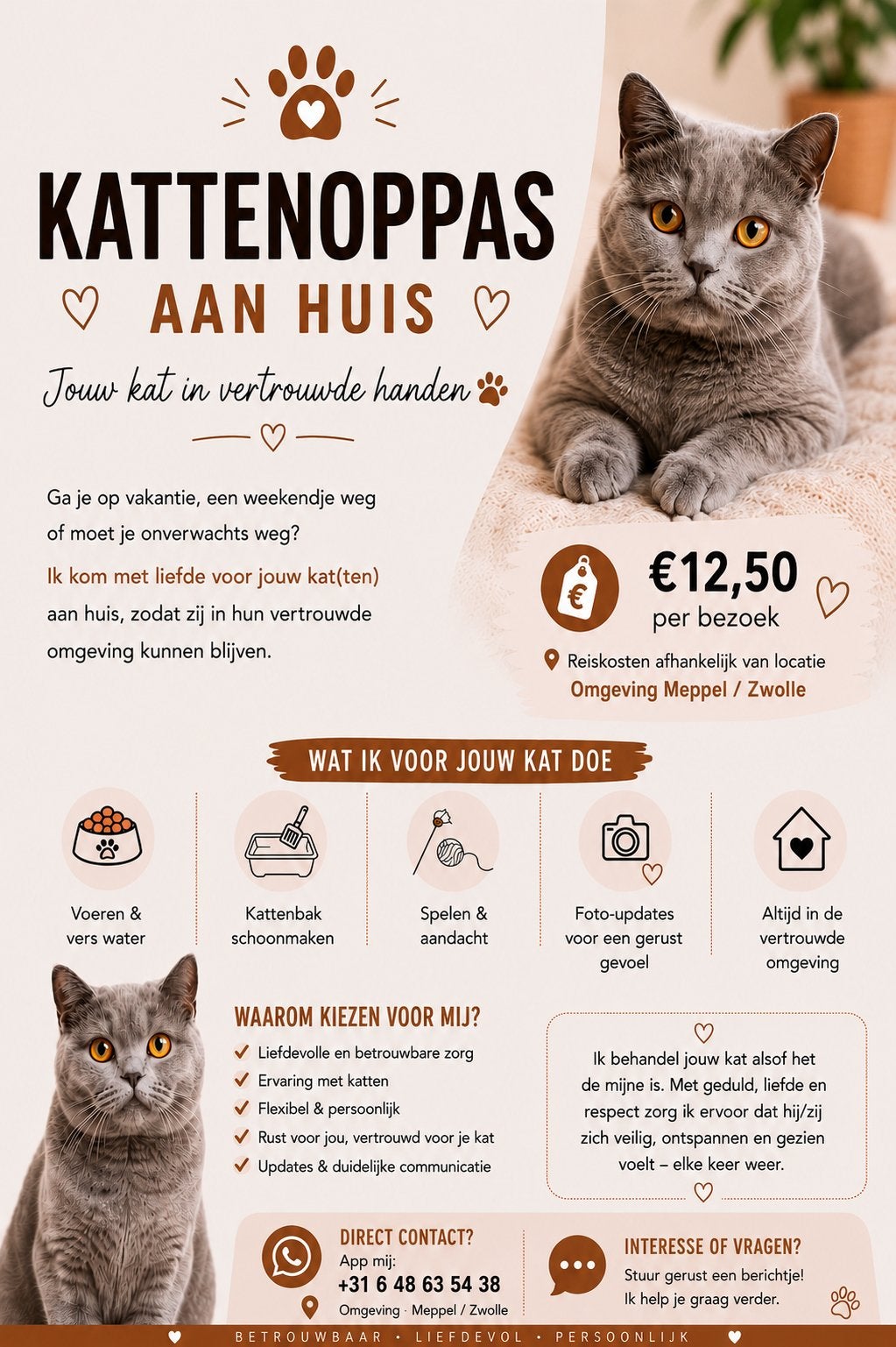 Kattenoppas Meppel/ Zwolle, Ophalen