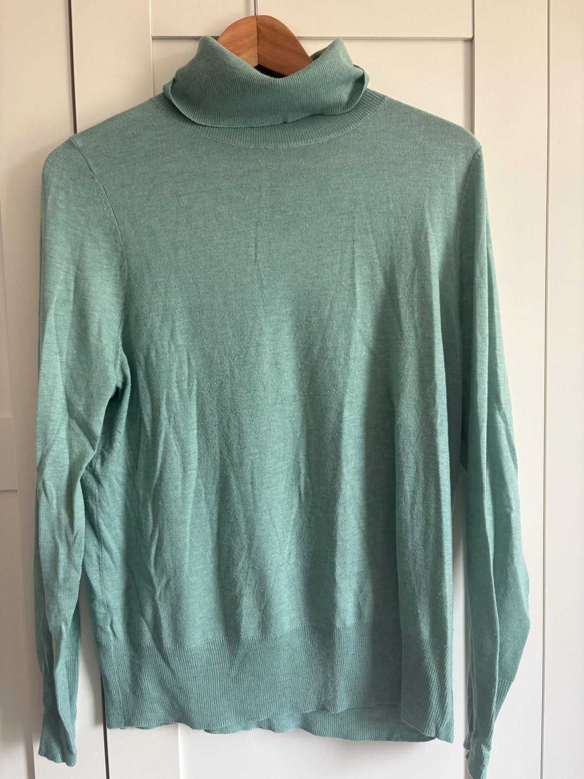 Mintgroene coltrui, maat L, Kleding | Dames, Ophalen of Verzenden, Gedragen, Maat 42/44 (L), Groen