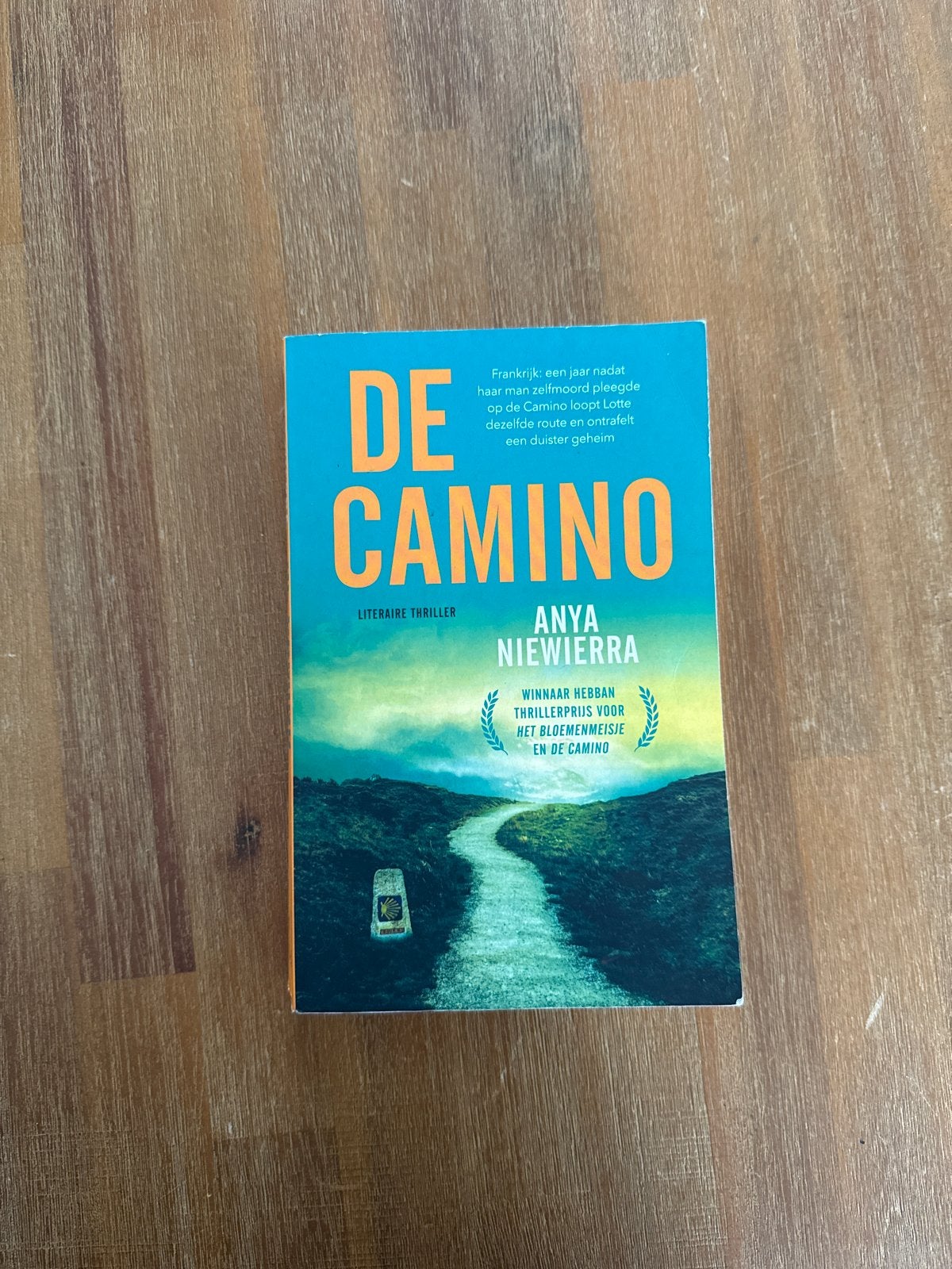 De Camino - Anya Niewierra (Literaire thriller), Boeken, Ophalen of Verzenden, Gelezen, Nederland