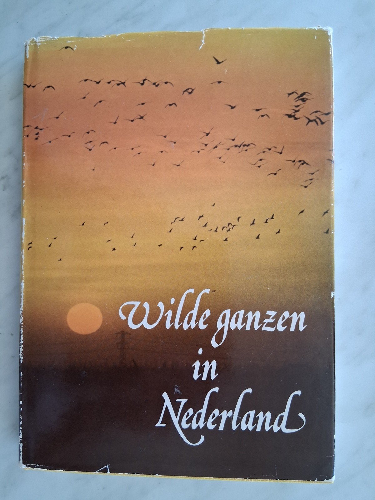 Wilde ganzen in Nederland door T.Lebret, Th. Mulder e.a., Ophalen of Verzenden, Gelezen, Vogels