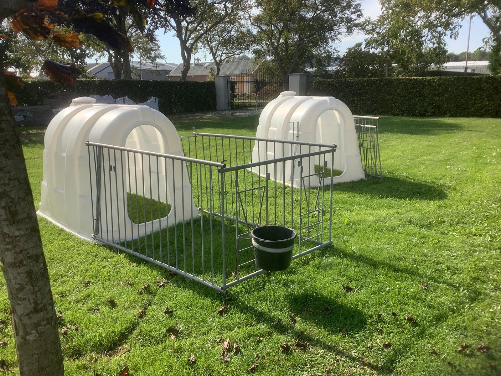 Dieren iglo’s / kalver iglo, Dieren en Toebehoren