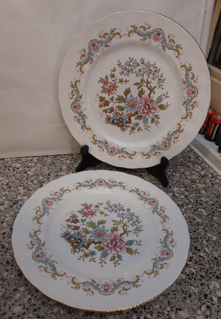 2 borden groot Engels Royal Standard Mandarin 27 cm, Overige merken, Ophalen of Verzenden, Zo goed als nieuw, Bord(en)