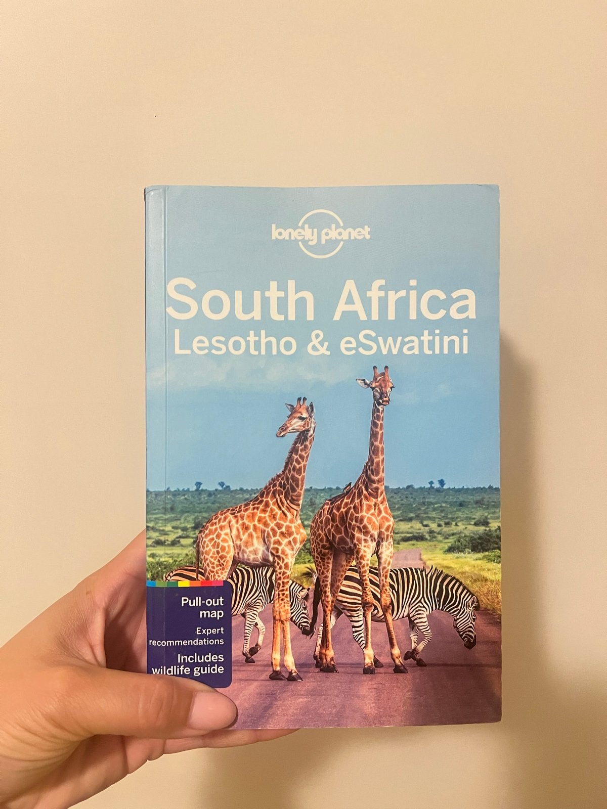 Lonely Planet Zuid-Afrika, Lesotho & eSwatini reisgids, Boeken, Afrika, Lonely Planet, Ophalen of Verzenden, Zo goed als nieuw
