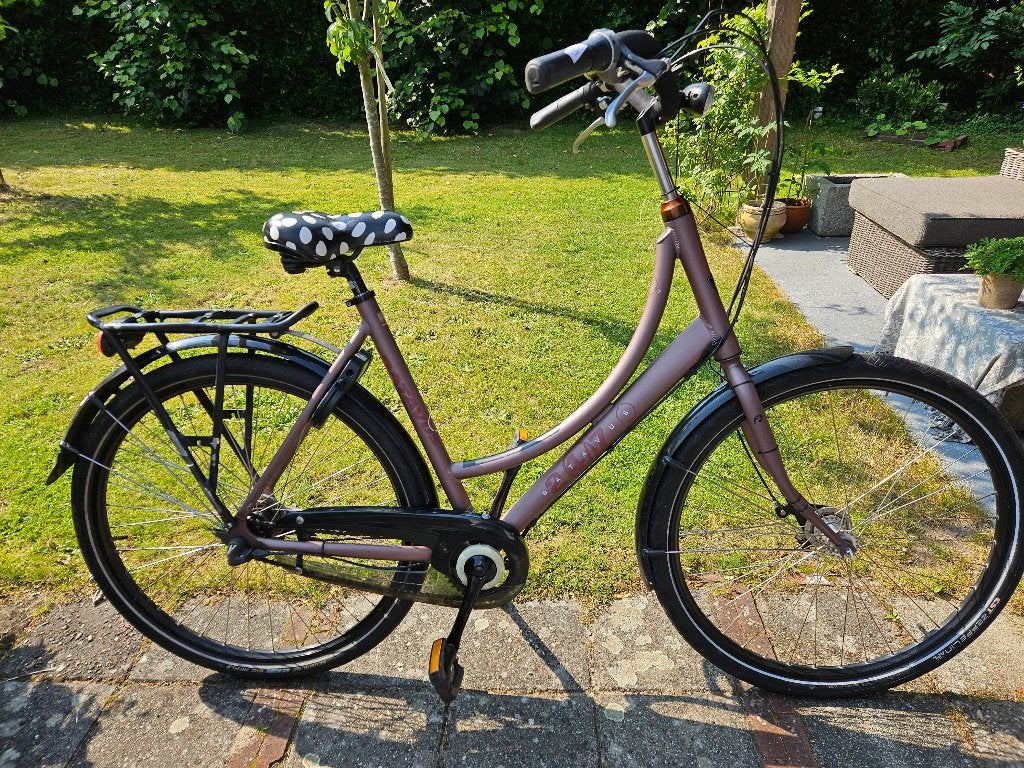 Batavus damesfiets, Ophalen, Versnellingen, Batavus, Trommelrem