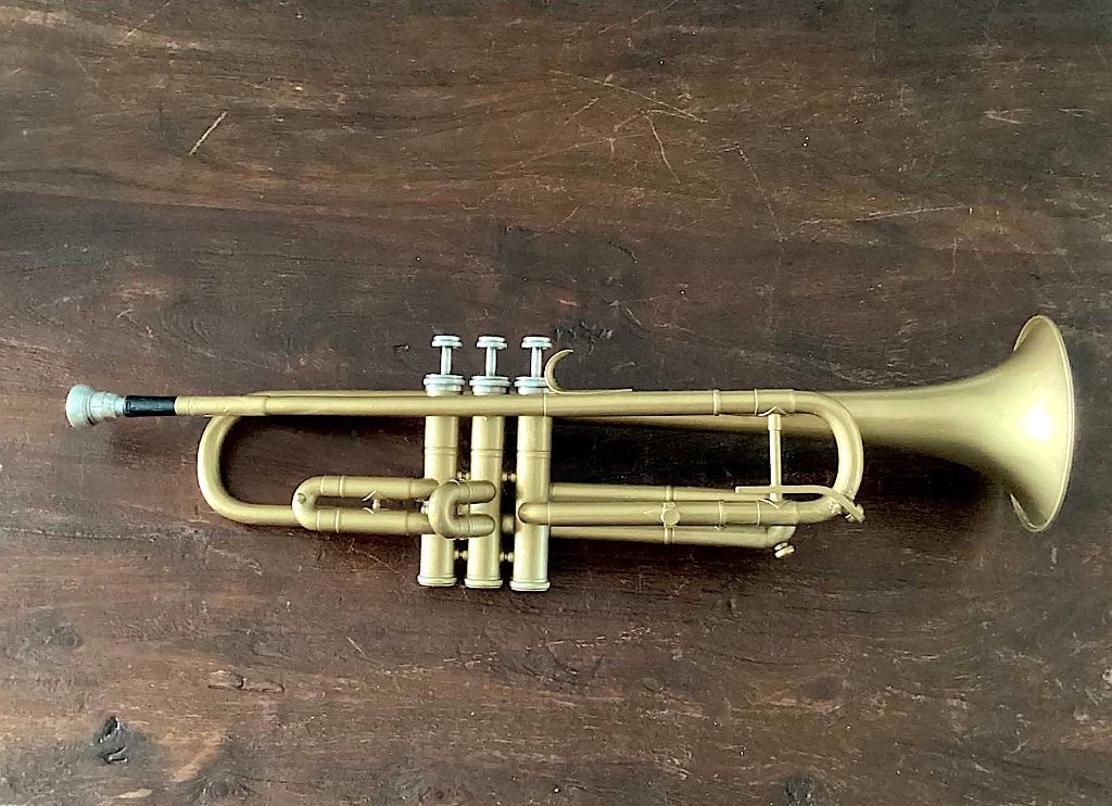 trompet, Muziek en Instrumenten, Ophalen of Verzenden, Gebruikt, Overige typen