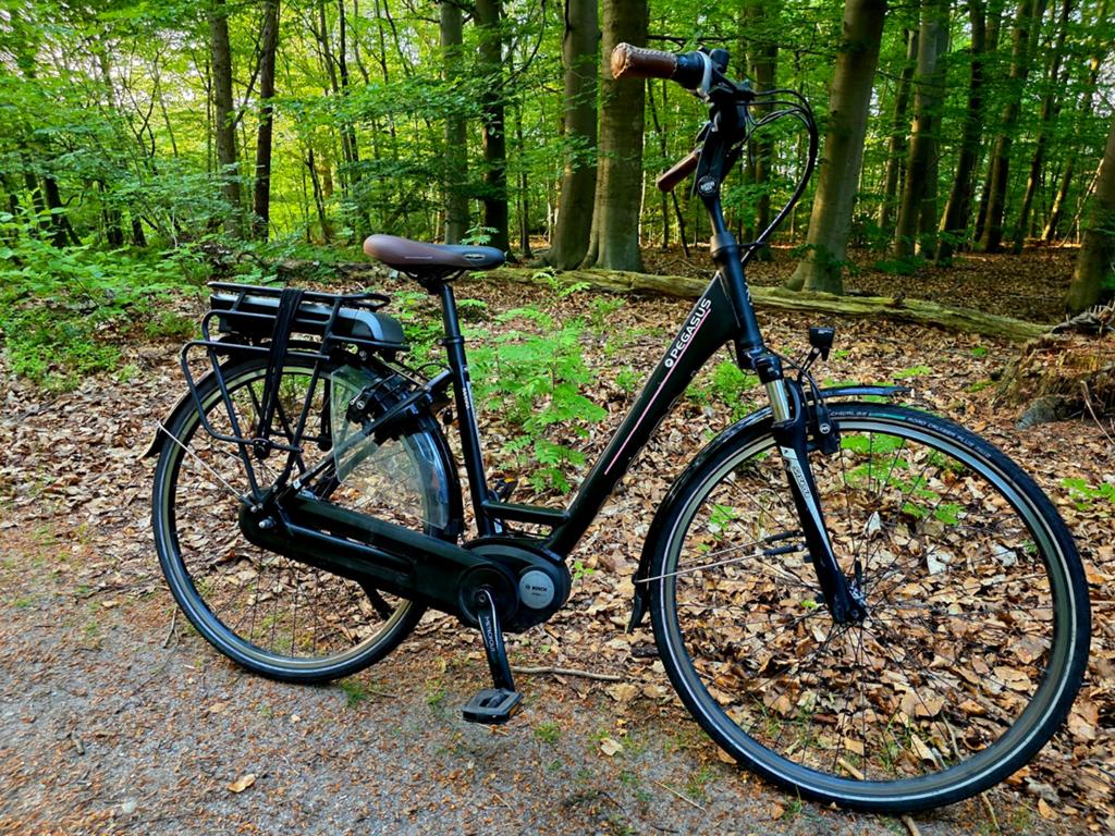 Goede ebikes va € 695  diverse merken & maten 0621340570, Zo goed als nieuw, 51 tot 55 cm, 50 km per accu of meer, Ophalen