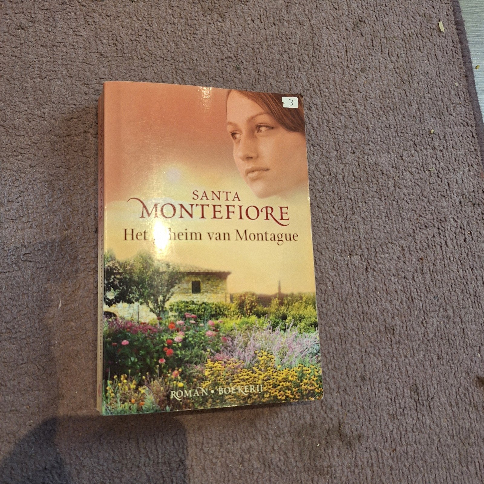 Santa Montefiore Boeken: De dochter van de imker & Het heim, Boeken, Ophalen of Verzenden, Gelezen, Santa Montefiore, Europa overig