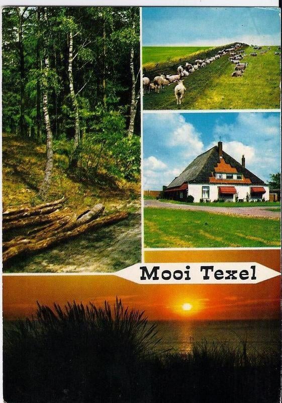 C 61 Gelopen ansichtkaart mooi texel, Ophalen of Verzenden, 1980 tot heden, Gelopen, Waddeneilanden