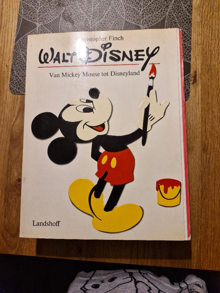 disney boek van mickey tot disneyland, Ophalen of Verzenden, Mickey Mouse, Gebruikt, Overige typen