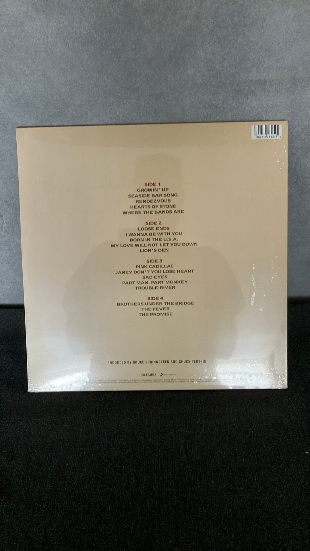 Bruce Springsteen. —  18 Tracks, Geseald, 2020 tot heden, Ophalen of Verzenden, 12 inch