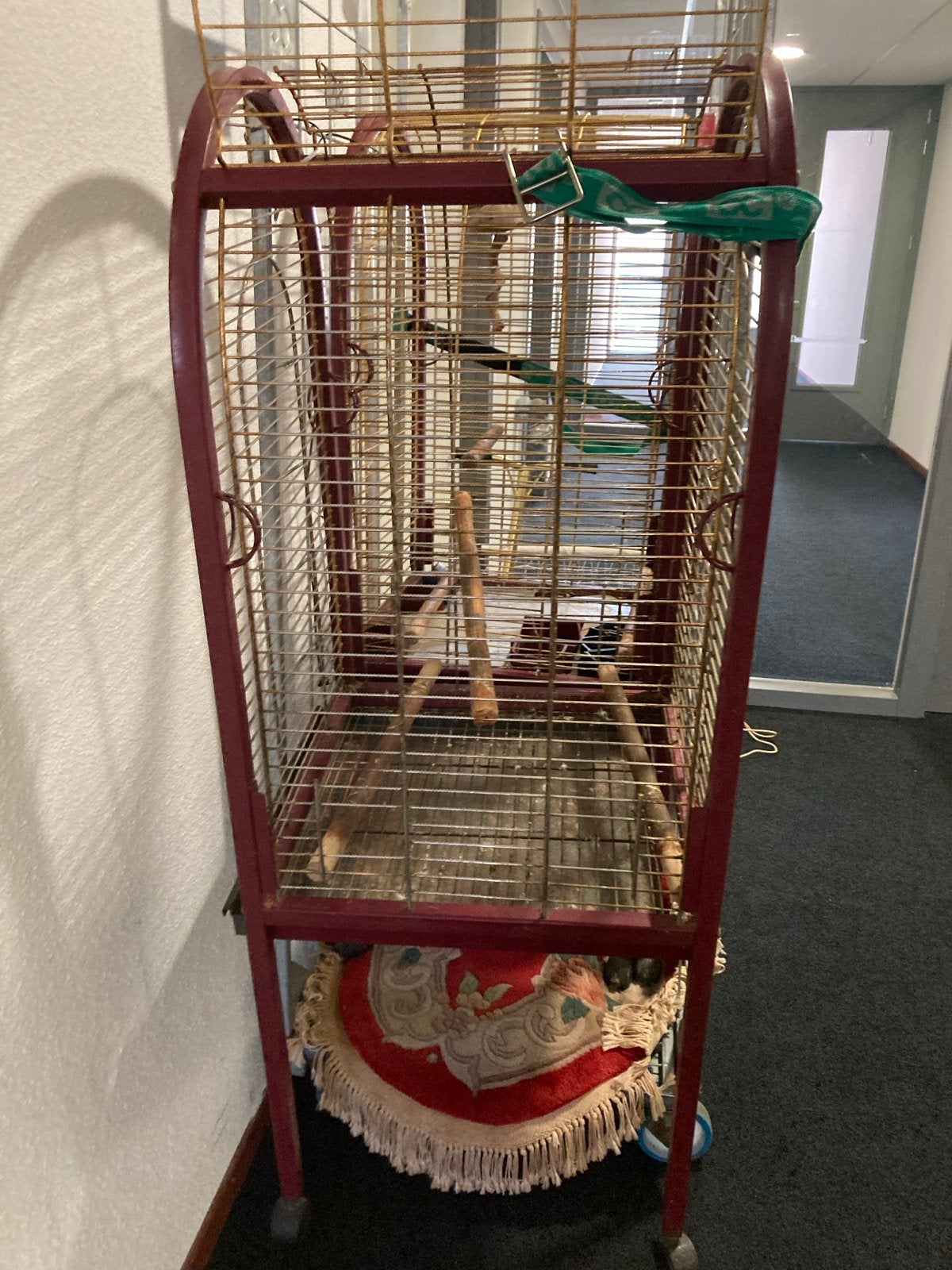 Vogels/ papegaaien kooien, Ophalen, Metaal, Vogelkooi
