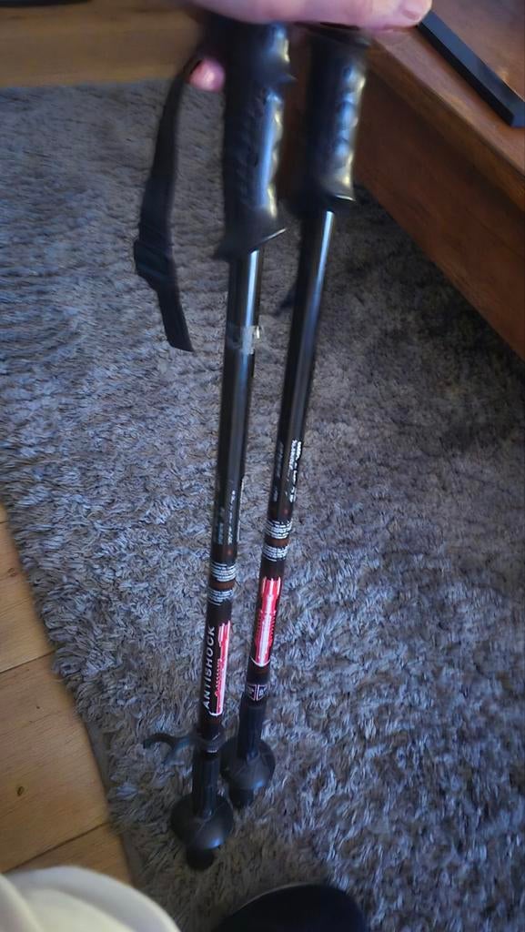 Nordic walking stokken, Ophalen of Verzenden