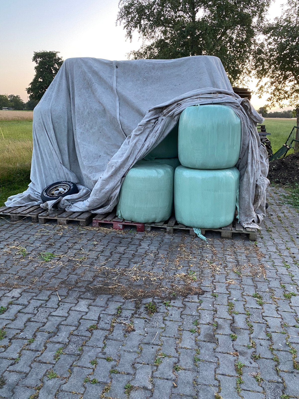 Te koop midibalen hooi, Ophalen of Verzenden, Vee