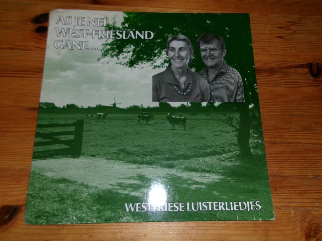 Als je nei west friesland gane westfriese luisterliedjes, Ophalen of Verzenden, Gebruikt, 12 inch, Levenslied of Smartlap